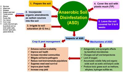 Anaerobic soil disinfestation: a biologically-based solution for sustainable crop production